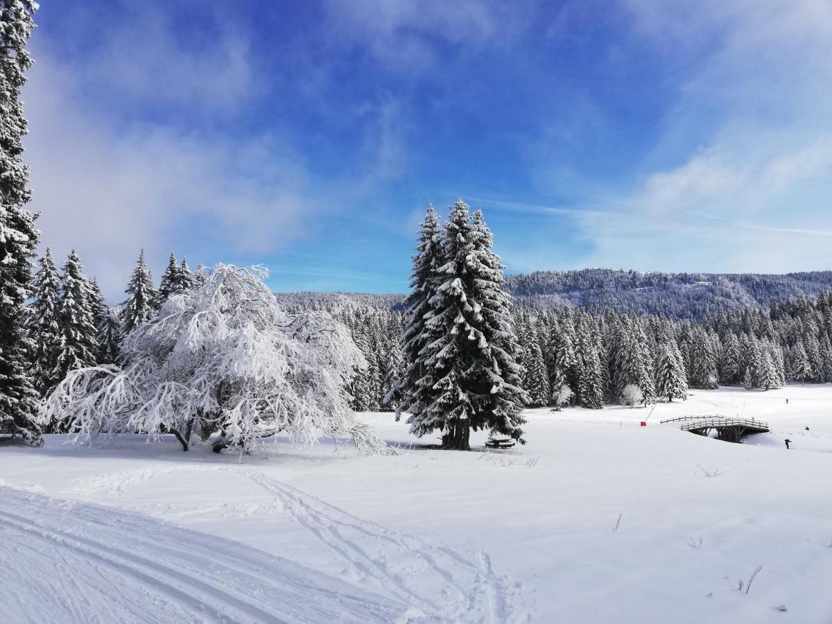 Ferme Des Deux Freres, Autrans, Vercors מראה חיצוני תמונה